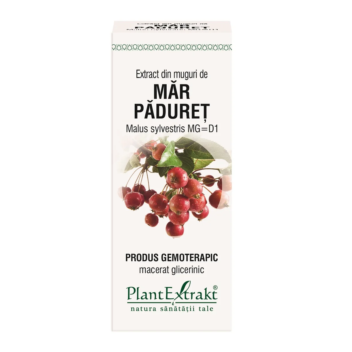 Extract din muguri de Mar Paduret, 50ml, PlantExtrakt