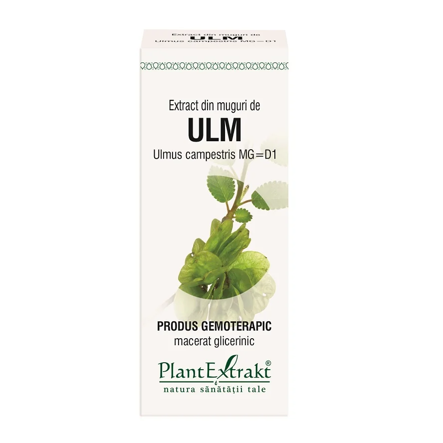 Extract din muguri de ulm, 50ml, PlantExtrakt