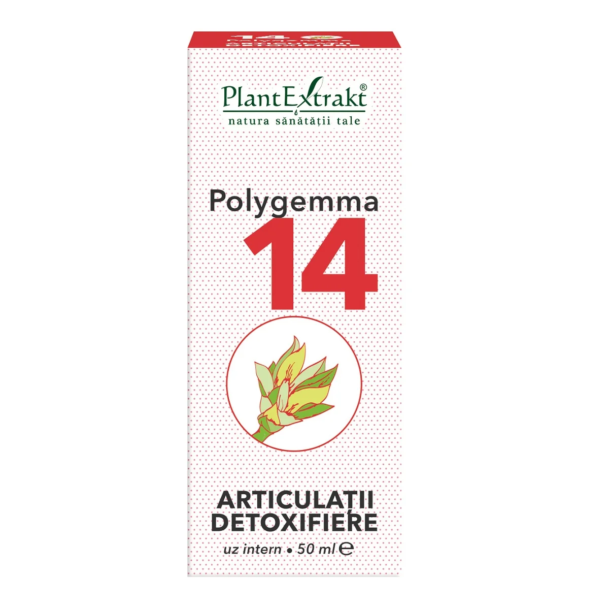 Polygemma 14 Articulatii detoxifiere, 50ml, PlantExtrakt