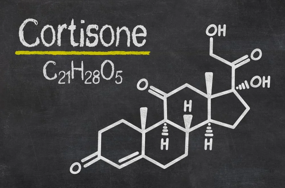 Cortizon: ce este, rol, importanta pentru organism