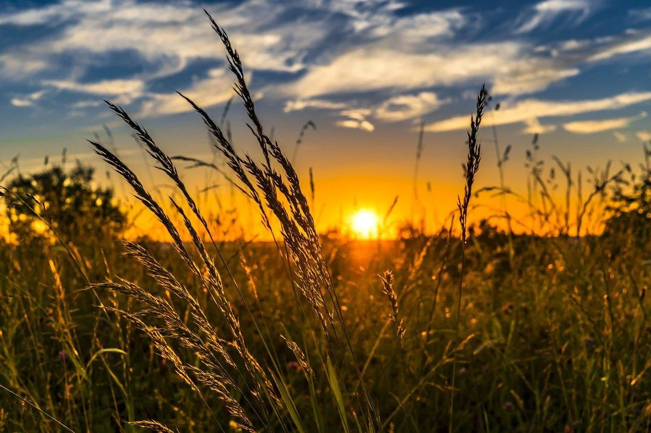 Efectul radiatiilor solare: Tot ce trebuie sa stii