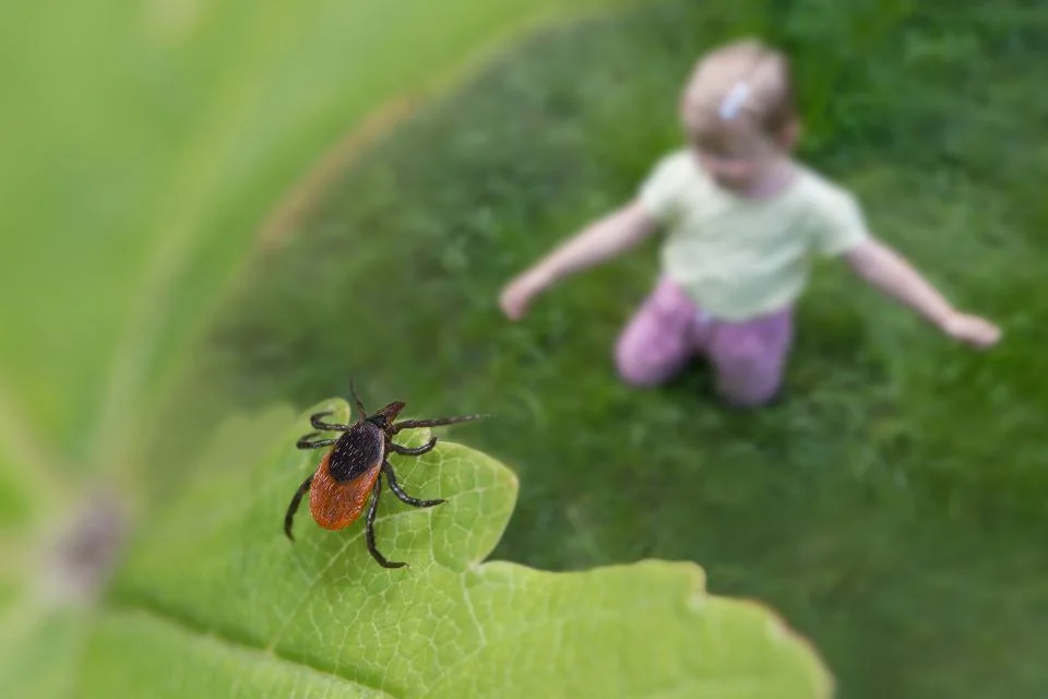 Boala Lyme la copii: cauze, simptome, tratament