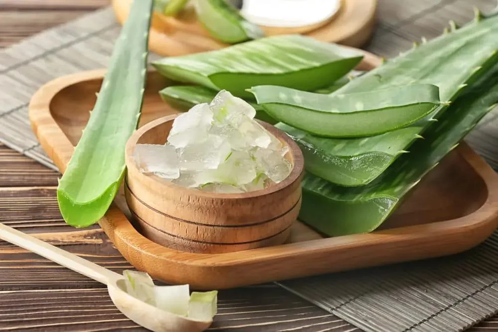 Aloe Vera - beneficii, proprietati, contraindicatii