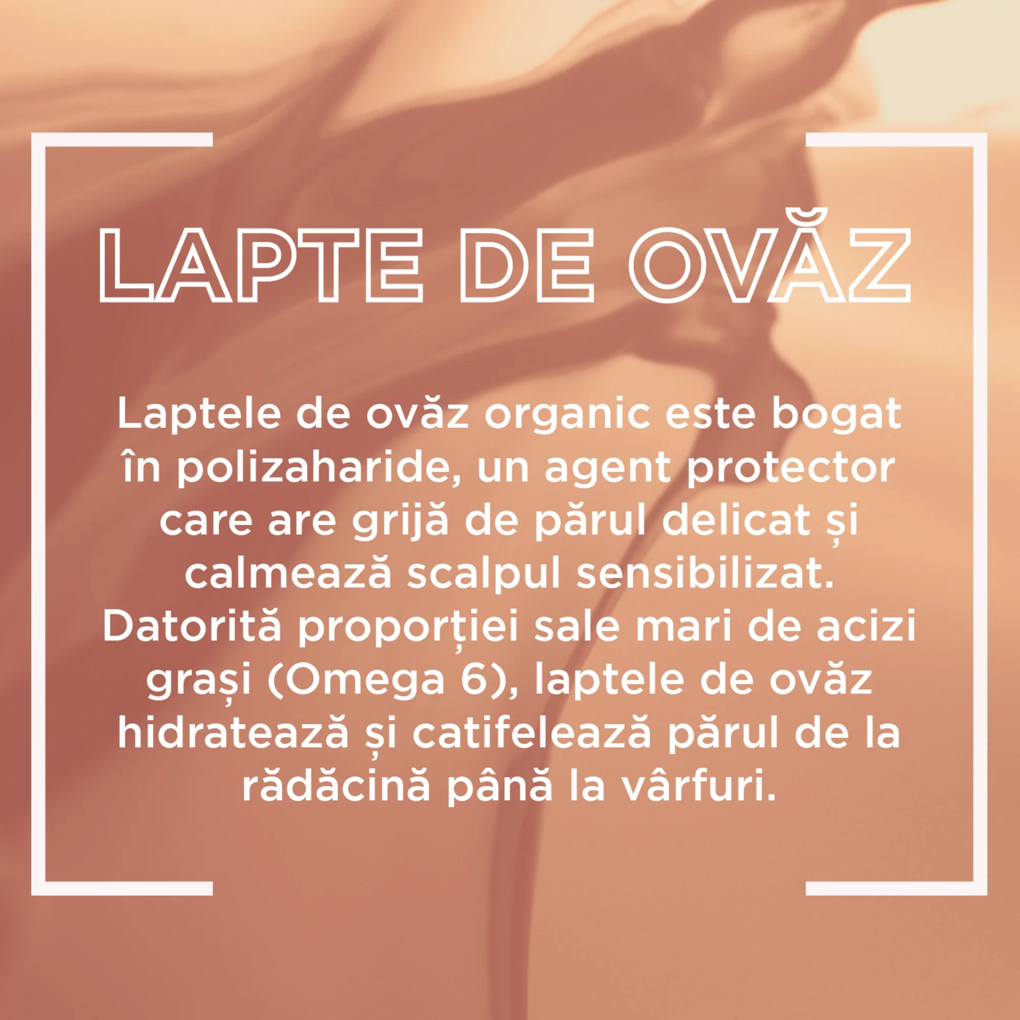 Lapte de ovaz