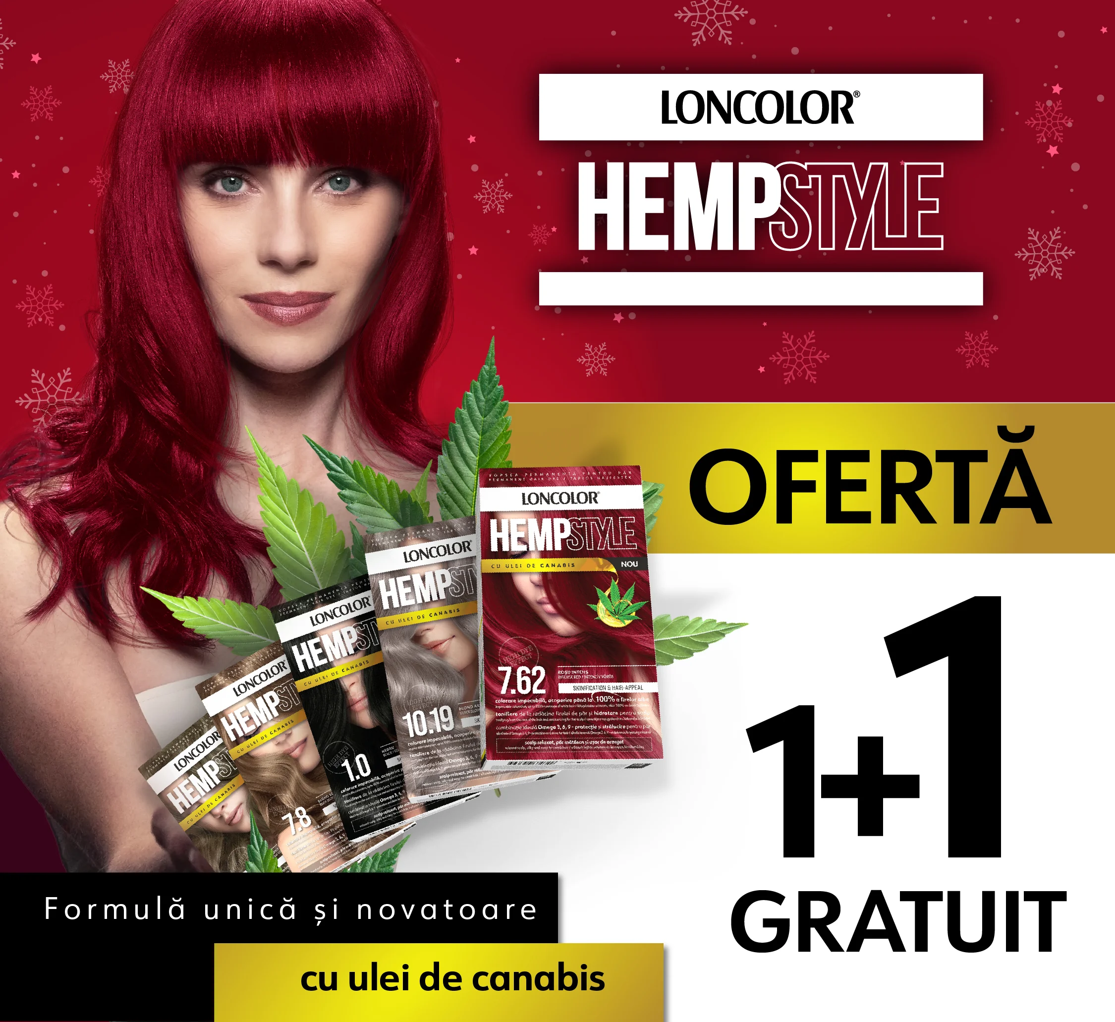 Ofertele lunii Decembrie 2024 Loncolor 1+1