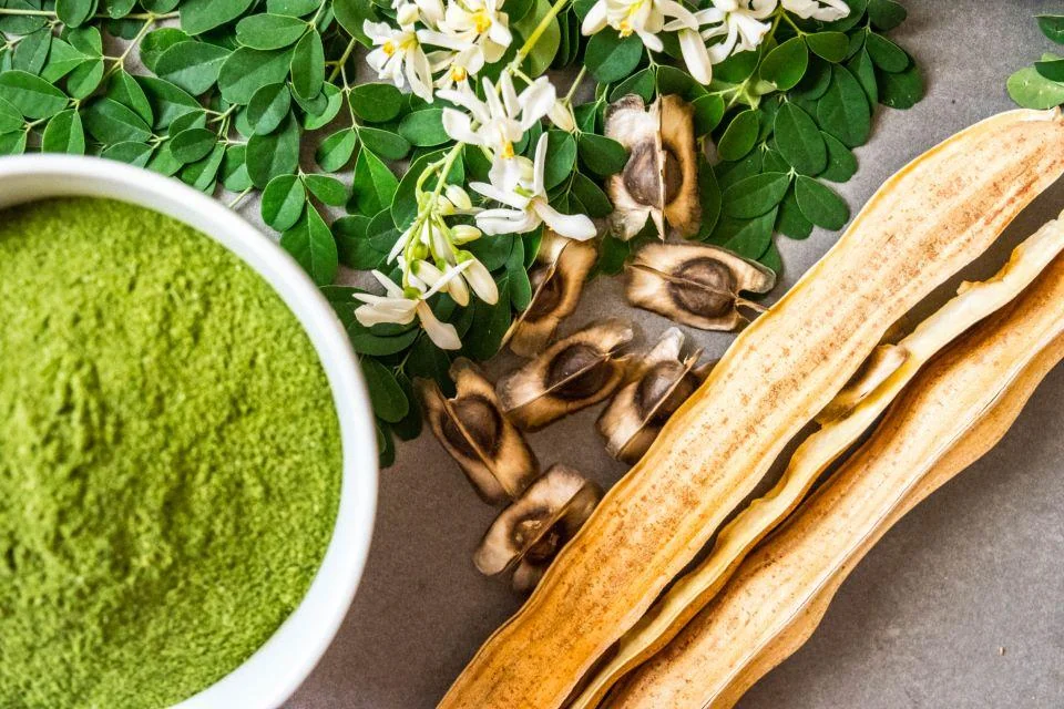 Moringa: proprietati, beneficii, utilizari