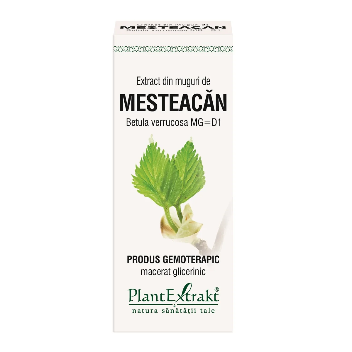 Extract din muguri de mesteacan, 50ml, PlantExtrakt