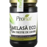 Melasa din trestie de zahar Bio, 400g, Pronat