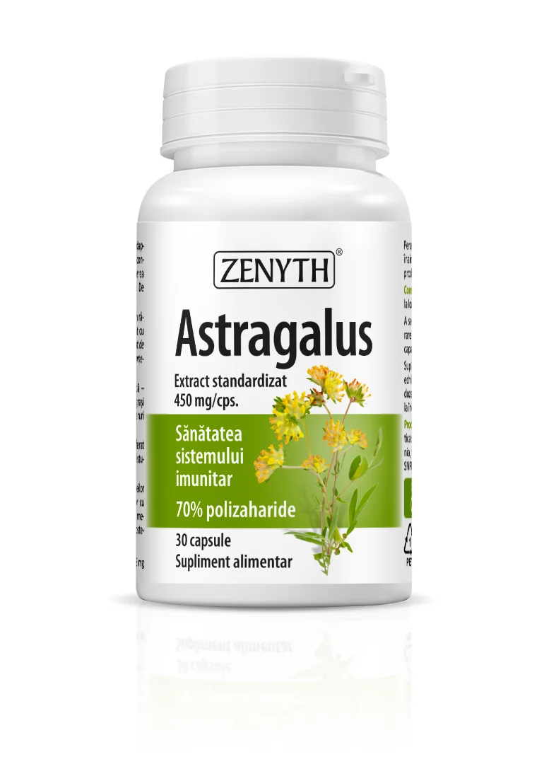 Astragalus, 30 capsule, Zenyth