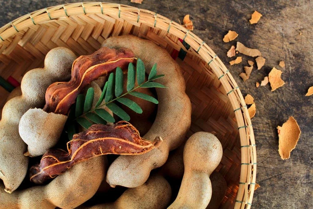 Tamarind: beneficii, proprietati, contraindicatii