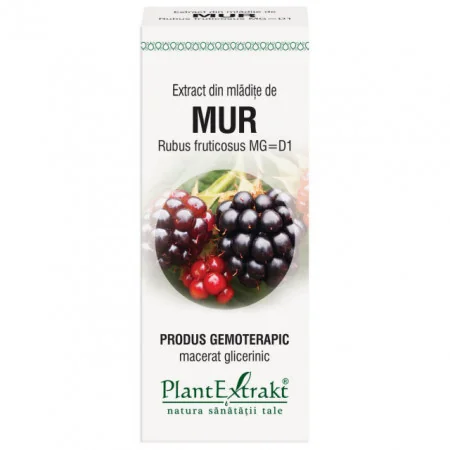 Extract din mladite de mur, 50ml, PlantExtrakt