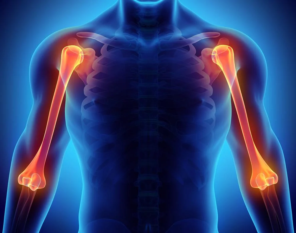 Humerus: functii, rol, afectiuni asociate