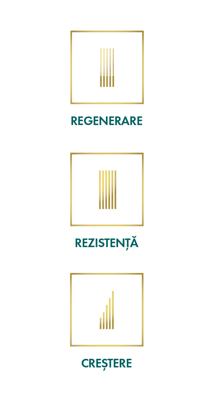 Principalele beneficii ale gamei ReviHair®