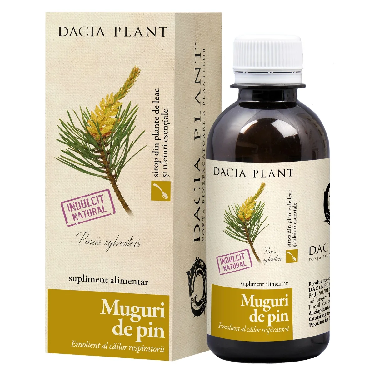 Sirop Muguri de Pin, 200ml, Dacia Plant