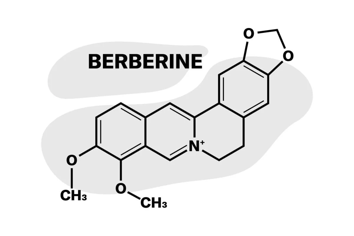 Berberina: beneficii, proprietati, contraindicatii