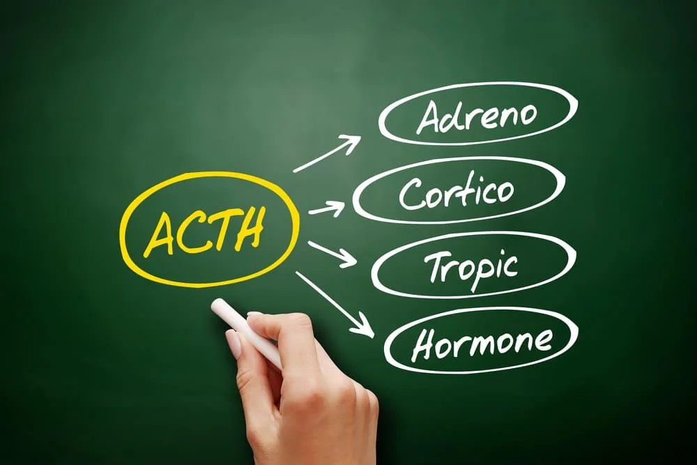 ACTH (Hormon adrenocorticotrop): ce este, valori, afectiuni indicate