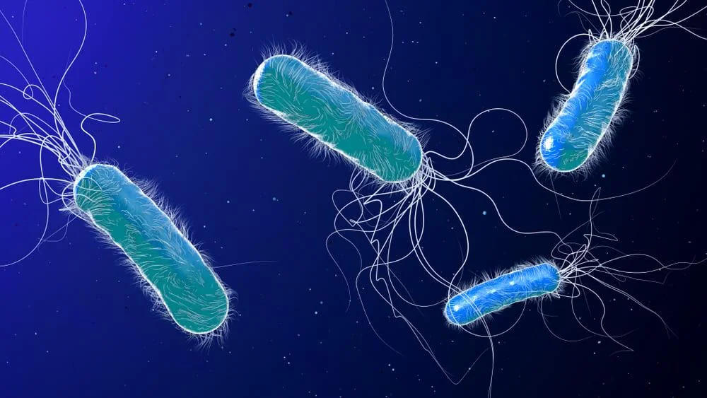 Infectia cu Pseudomonas aeruginosa: cauze, simptome, tratament