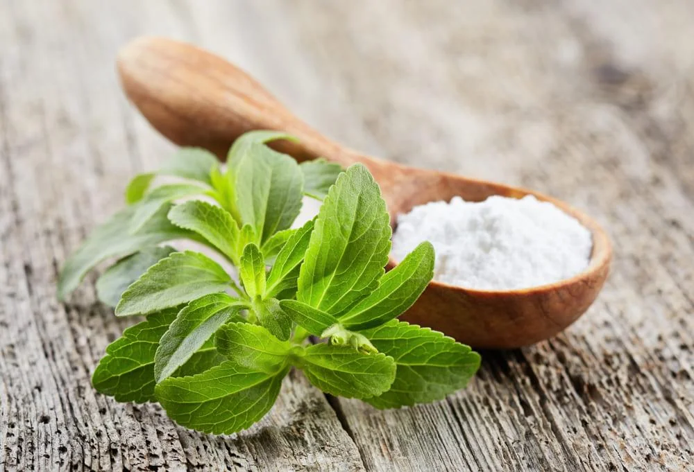 Stevia: beneficii, proprietati, utilizari si cum sa o consumi