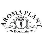 Aroma Plant Bonchis