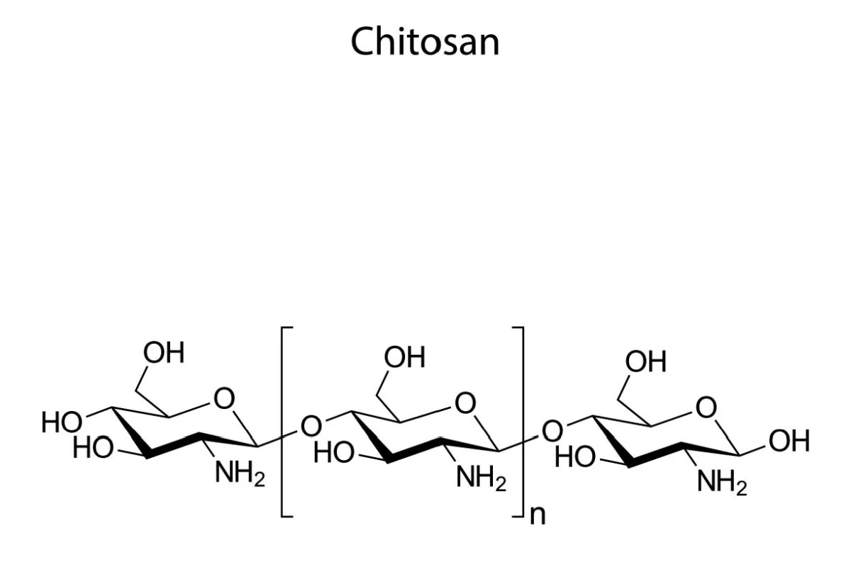 Chitosan: beneficii, proprietati, utilizari