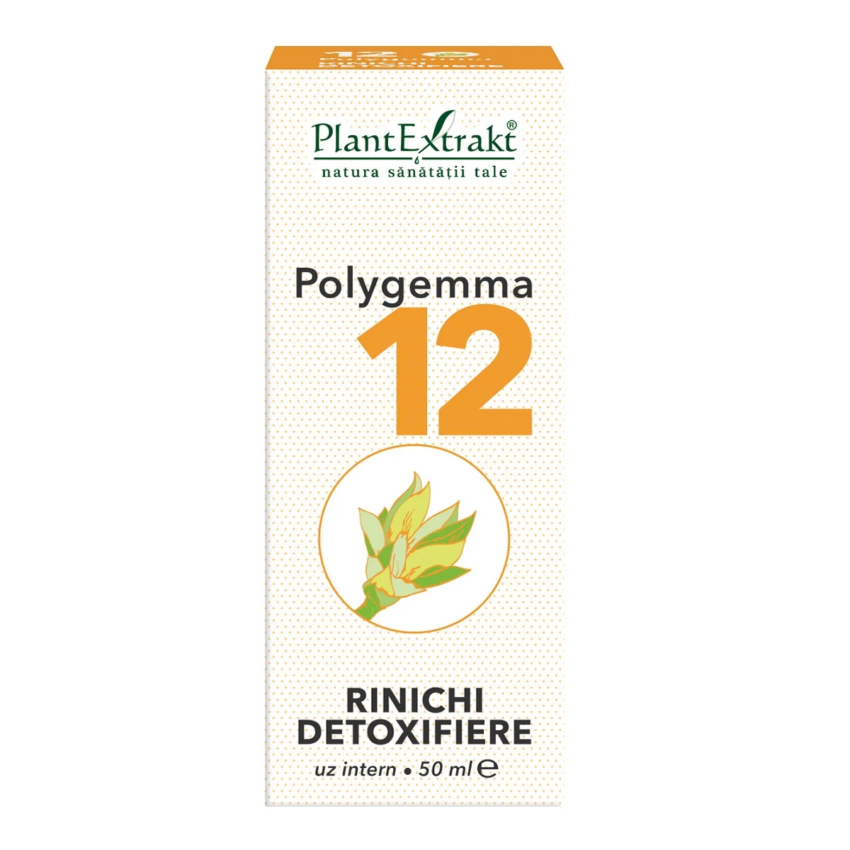 Polygemma 12, 50ml, PlantExtrakt