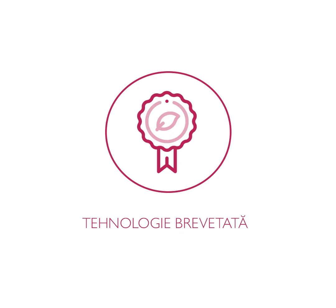 TEHNOLOGIE BREVETATĂ TEHNOLOGIE BREVETATĂ