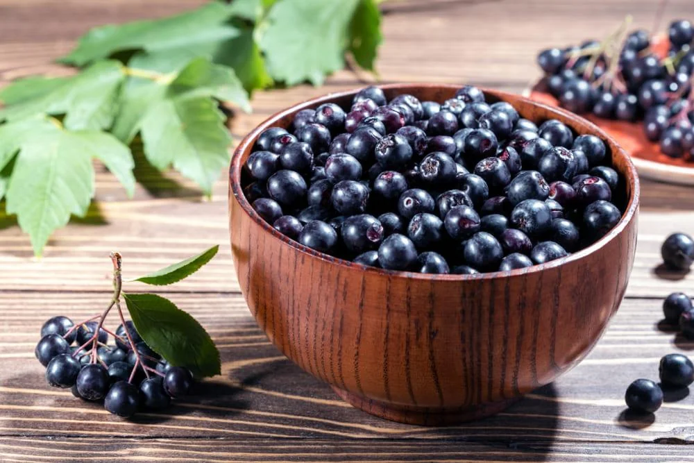 Aronia - beneficii, proprietati, contraindicatii