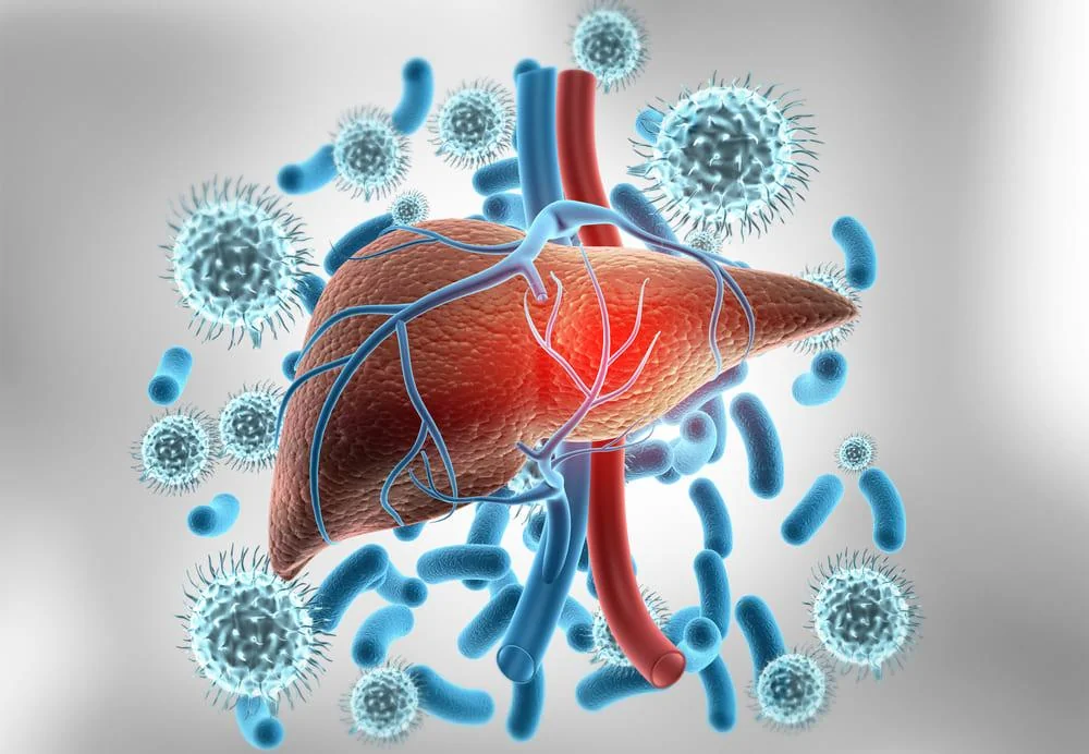 Hepatosplenomegalie: cauze, simptome, tratament