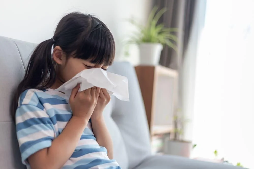 Alergia la praf si acarieni: cauze, manifestari, optiuni de tratament si preventie