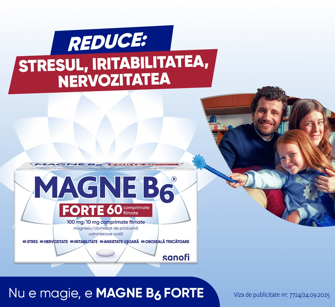 Magne B6