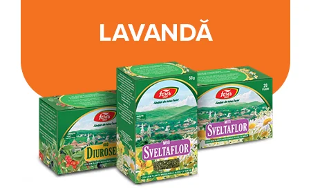 ceai de lavanda ceai de lavanda